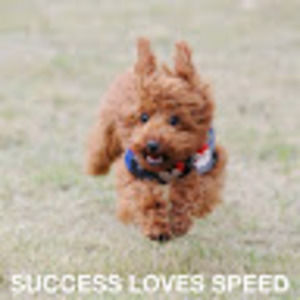 Meet your Posher, D alonzo